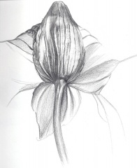 Fleur 3